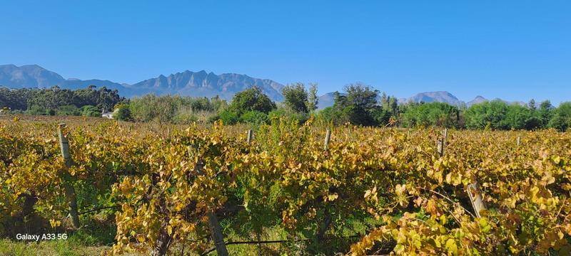 0 Bedroom Property for Sale in Wellington Western Cape